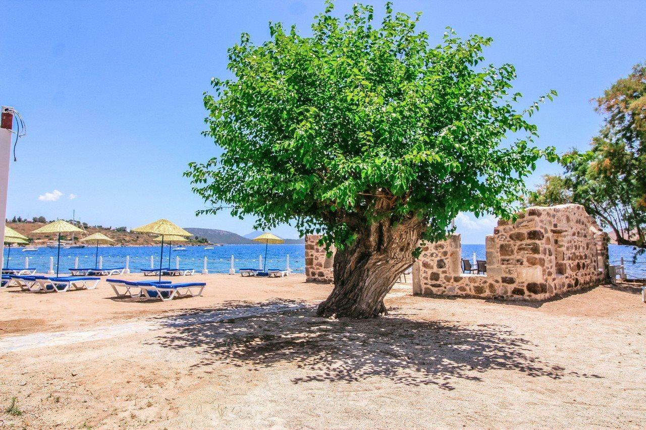 Club Muskebi Hotell Bodrum Exteriör bild