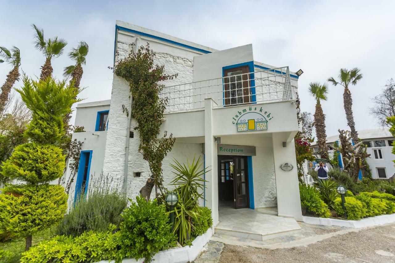 Club Muskebi Hotell Bodrum Exteriör bild